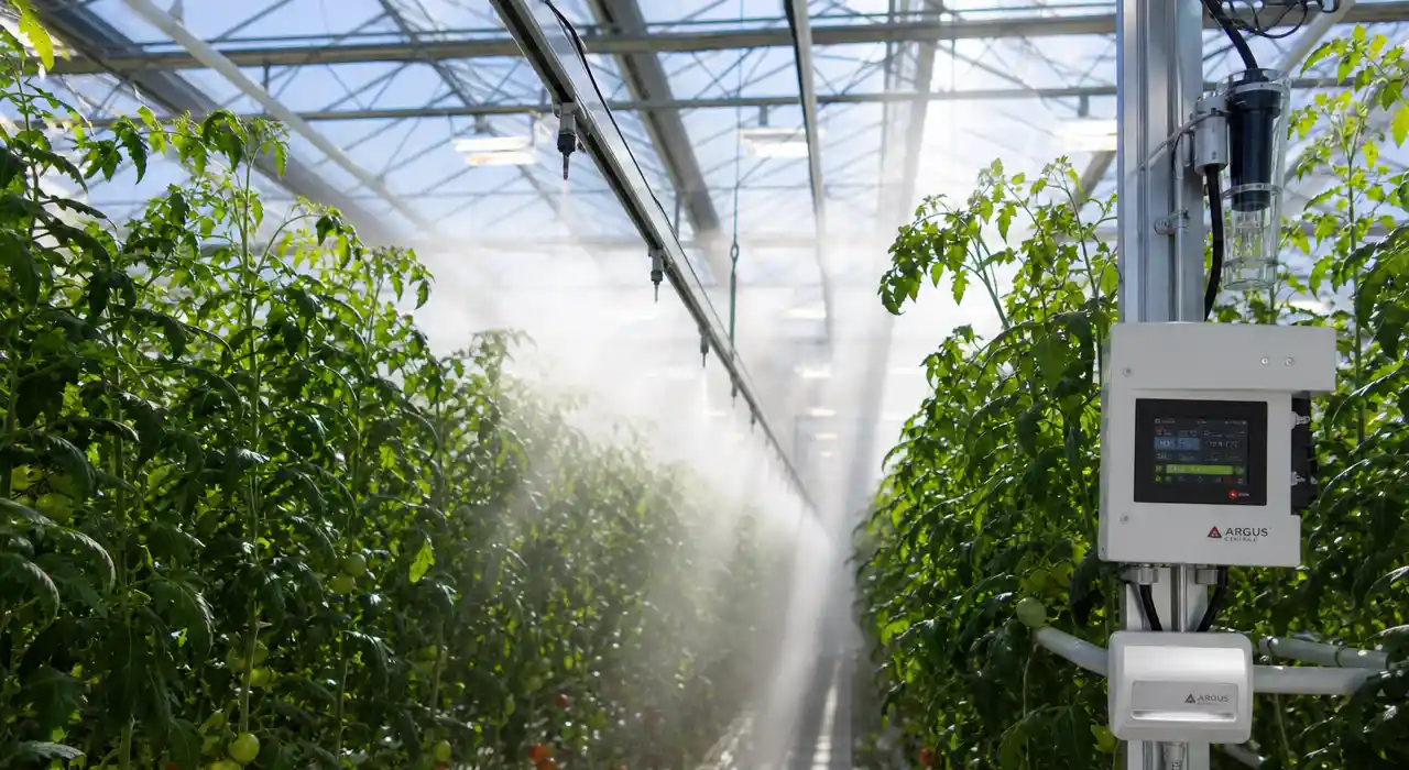 Agricultural irrigation water delivery
